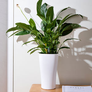 Tapis <span class=keywords><strong>de</strong></span> rempotage <span class=keywords><strong>de</strong></span> plantes imprimé personnalisé à arrosage automatique table à manger jardinières <span class=keywords><strong>de</strong></span> jardin pot <span class=keywords><strong>de</strong></span> fleur extérieur pour bureau - Product Image 6