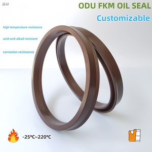 Anillo de sellado de anillo de <span class=keywords><strong>polvo</strong></span> de sello de aceite de cilindro hidráulico de goma fluororubber ONU ODU para eje de orificio de cilindro universal - Product Image 2