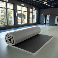 Tapis de judo en PVC, tapis de jiu-jitsu, tapis de MMA, tapis de judo tatami, tapis de taekwondo, tapis d'arts martiaux enroulable