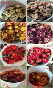 Dff06 Hoa Hồng Khô Bó Thực Tự Nhiên Khô Hoa Hồng Đỏ Hoa Cho Đám Cưới Nhà Trang Trí Hoa Sắp Xếp Đảng Trang Trí Nội Thất - Product Image 5