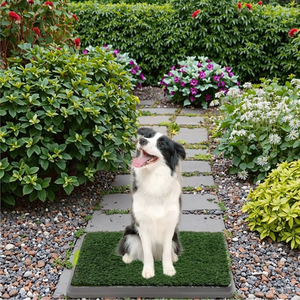 चीनी कारखाने पिल्ले और छोटे पालतू जानवरों के लिए कृत्रिम घास बाथरूम चटाई-पोर्टेबल पोटी ट्रेनर पालतू कुत्ते पिल्ला - Product Image 3