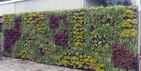 Panneaux muraux carrés modernes en plastique PP 3D décoratifs, auto-arrosants, écologiques, durables, pour jardin vertical, jardinière murale verte