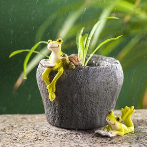 Décoration de grenouille en résine fantaisiste <span class=keywords><strong>pour</strong></span> pots de plantes |   Miniature décorative <span class=keywords><strong>pour</strong></span> jardins succulents et bureau, adorable ornement de <span class=keywords><strong>jardin</strong></span> d'intérieur/extérieur - Product Image 4