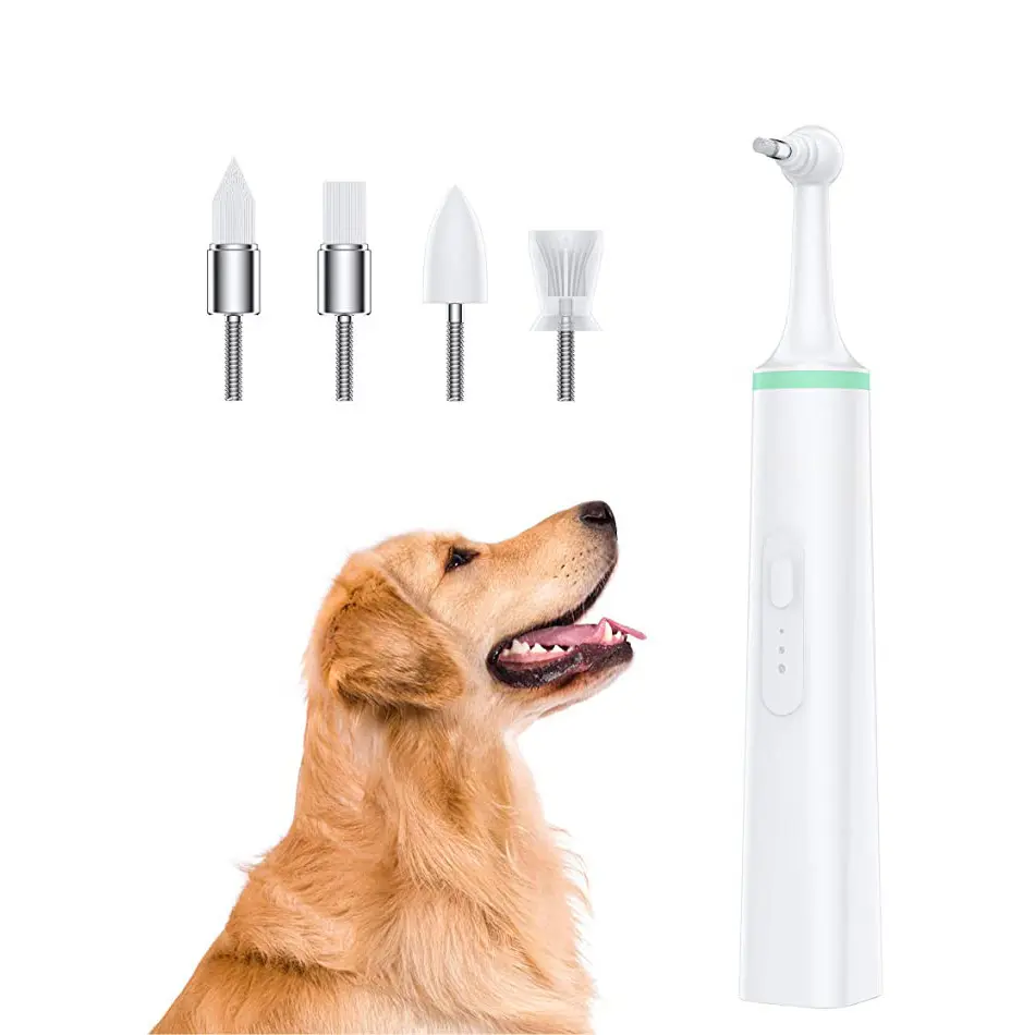 4 yedek kafaları ile köpek kedi oral temizleyici elektrikli diş fırçası