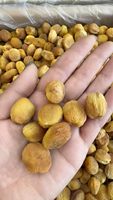 Pure natuurlijke, warmeluchtgedroogde hele abrikozen met pit, suikervrij, zonder toevoegingen, snackverpakking, gedroogde abrikozen voor detailhandel