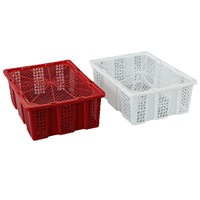 Boîte de transport en plastique pour cailles / Caisses à poulets / Boîte de transport pour pigeons / Équipement de transport de volailles