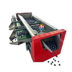 Máquina Clasificadora de Arándanos de Alta Eficiencia para Uso Agrícola, Máquina Clasificadora de Frutas, Máquina Clasificadora de Arándanos por Tamaño - Product Image 1