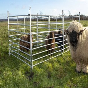 Coated Powder Farming <strong>Fence</strong> Farm <strong>Cattle</strong> Sheep Fencing Mobile Ranch Galvanised Steel <strong>Pipe</strong> <strong>Fence</strong> - Product Image 1