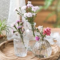 Vase en verre nordique créatif, vase transparent, petite bouteille en verre décorative pour la maison, style frais et épuré
