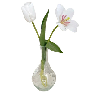 <span class=keywords><strong>Vase</strong></span> en verre classique minimaliste pour la maison, <span class=keywords><strong>vase</strong></span> <span class=keywords><strong>hydroponique</strong></span> pour plantes et fleurs, exquis et durable, très vendu - Product Image 5