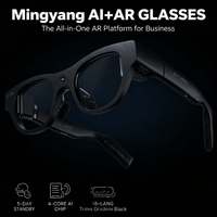 Lunettes intelligentes tout-en-un IA AR sans fil autonomes avec traduction, téléprompteur, enregistrement de réunion et protection de la vie privée
