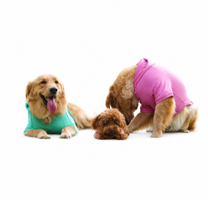 Sudadera para Perro de Algodón Suave, Ropa Transpirable para Perro, Prenda Cómoda para Perro, Ropa Lavable a Máquina para Perro, Suéter Acogedor para Perro - Product Image 1