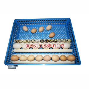 Incubadora de huevos al por mayor para precios DE LUCHA - Product Image 4