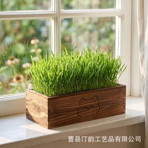 Cross-border wooden cat grass potted planter with mesh cover, coconut coir-grown cat grass <b>pot</b>, pet green <b>plant</b> ornament. - Product Image 2