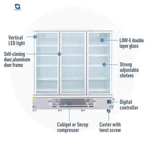 Congélateur vertical commercial à double porte à température unique affichage de supermarché refroidisseur de boisson refroidisseur de bière boisson - Product Image 5