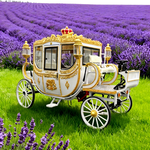 Charrette électrique de luxe royale à 4 roues en acier, alimentée par batterie, pour mariages et visites touristiques, avec couleur et style personnalisables, à vendre - Product Image 1