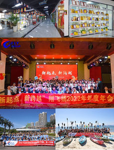 Top 10 des agents maritimes, livraison de fret maritime, services de transitaire DDP porte à porte, Chine vers les États-Unis, Royaume-Uni, France, Canada, Europe, Australie - Product Image 6