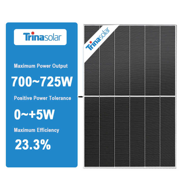 Trina N-type I-TOPCon TSM-NEG21C.20 Bifacial Dual Glass Monocrystalline ...