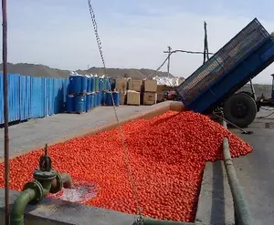 Juice Production And Processing Line Raw Material Tomato Full-automatic Tomato Paste Production Line