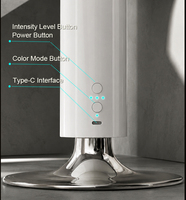 Diffuseur d'huiles essentielles professionnel sans eau pour la maison et l'hôtel, capacité de 100 ml, alimentation USB, parfum de luxe pour éclairage LED