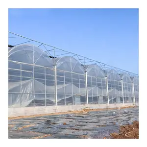 Poly Tunnel Ein schicht ige kosten günstige UV-geschützte Gewächs häuser aus Polyethylen-Kunststoff für die Landwirtschaft