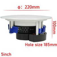 Altavoz Coaxial de Techo de 2 Vías y 5 Pulgadas, 20 Vatios, HIFI, para Sistema de Cine en Casa/Escenario, para Uso Residencial