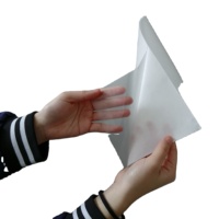 Película Adhesiva de Poliuretano Translúcido de Alta Calidad para Calzado, Rollo de Adhesivo Termofusible para Calzado, Embalaje, Cuero, Carpintería, Marca HYD, REACH