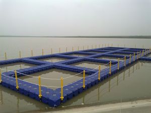 Blocs flottants modulaires en HDPE à longue durée <span class=keywords><strong>de</strong></span> vie pour pontons <span class=keywords><strong>de</strong></span> pêche, pont flottant avec une durée <span class=keywords><strong>de</strong></span> vie <span class=keywords><strong>de</strong></span> 15 ans, 500x500x400mm, flottabilité <span class=keywords><strong>de</strong></span> 350kg/m - Product Image 2