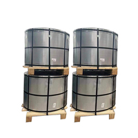 0.20mm CA/BA MR/SPCC Grade JIS G3303 EN10202 Tinplate Coil (ETP) untuk Kemasan Kaleng Makanan Asal Tianjin
