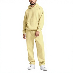 Sweat à capuche vierge en molleton 100 % coton pour homme, idéal pour l'hiver, personnalisable avec logo imprimé ou brodé, faible MOQ, production sous marque privée - Product Image 1