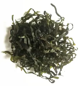 Machine Dried Kelp Cut Shredded Laminaria Japonica Dried Seaweed Manufacturer