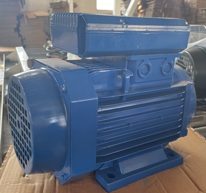 1.5HP 1.1KW ปรับแต่งได้2980รอบต่อนาทีมอเตอร์ไฟฟ้าเหนี่ยวนำกระแสสลับ220V/230V - Product Image 3