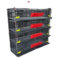 Cage d'élevage surélevée pour cailles et perdrix avec nettoyage automatique du fumier, idéale pour l'élevage de petits oiseaux