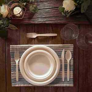 Lot de 10 assiettes jetables en papier biodégradable à base de canne à sucre avec revêtement UV - Product Image 4