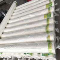 50 Mesh Plastic Mesh Insectenbestendig Net Vliegenbestendig Insect Schaduw Netto Fruit Groente En Bloemen Bescherming