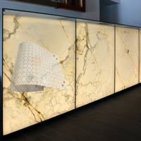 Feuille de LED flexible 24V pour comptoir en Onyx translucide feuille d'agate rétroéclairée panneau LED dalle de carrelage en pierre d'agate naturelle