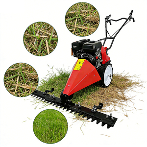 Cortacésped de Empuje para Viñedos, 212cc, Gasolina, Ancho de Corte de 80cm, Altura Ajustable de 1-8cm, Neumático Sólido para Cultivos en Hileras - Product Image 1