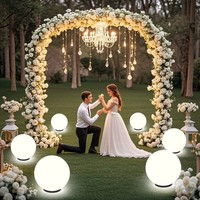 Lampe solaire à induction intelligente, efficace, de type globe, indice de protection IP44, entrée 1,2 V, blanc neutre 4100 K, 90 lumens, modèle LS2230, jardin