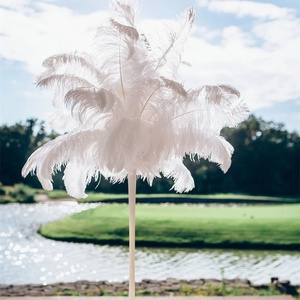 Plumas <span class=keywords><strong>de</strong></span> Avestruz Azules Teñidas <span class=keywords><strong>de</strong></span> 15-55cm para Decoración <span class=keywords><strong>de</strong></span> Bodas, Disfraces, <span class=keywords><strong>Carnaval</strong></span>, Manualidades, Centros <span class=keywords><strong>de</strong></span> Mesa y Accesorios - Product Image 4