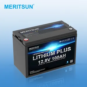 Meritsun 50ah 100ah 200ah 300ah Solid State Cel Aangepaste Energie-Opslagbatterij 12V 24V Solid State Batterij