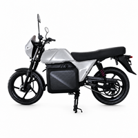 Wholesale Daily Commute High Speed Electric Adult Motorcycle High Performance Mid Drive Motor 85Km/h Electric Motorbike