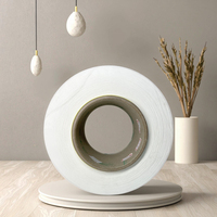 Vente Flash Fil FDY 100% Polyester Recyclé Blanc Brut 120D/96F Plus Résistant et Plus Durable