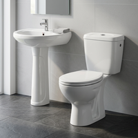 Ensemble Complet de 5 Pièces de Sanitaires de Salle de Bain en Céramique à Prix Économique avec Toilette et Lavabo sur Pied, Fournisseur Indien
