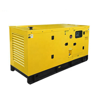 Groupe électrogène diesel silencieux triphasé refroidi par eau 60Hz sans balais 20kva 30kva 40kva 50kw 100kva pour usage industriel