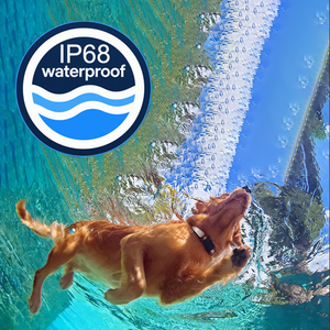 <span class=keywords><strong>Collar</strong></span> con Rastreador GPS para Perros de Razas Grandes con Función Inteligente y Sistema de Alerta Sonora - Product Image 4