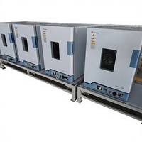 Incubadora Microbiológica Digital de Temperatura Constante para Laboratorio, Pequeña y Digital, Fabricada en China