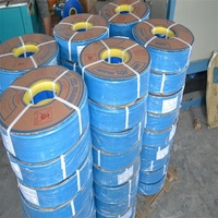 Tuyau plat en PVC bleu de 25 mm, résistant, adapté au refoulement d'eau et à l'irrigation goutte à goutte