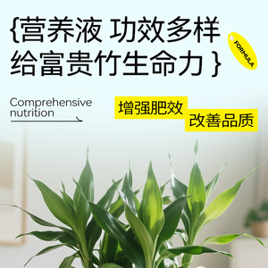 Solution nutritive liquide pour plantes de jardinage pour débutants, pour des feuilles vertes éclatantes et une plantation luxuriante - Product Image 5