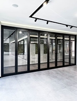 Puerta Plegable Moderna Ultrafina de 45 mm |   Herrajes Alemanes |   Vista Panorámica Minimalista para Inmobiliarias de Lujo
