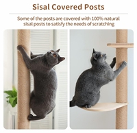 Arbre à gratter pour chat en bois en gros, cadre d'escalade d'intérieur, arbre à gratter pour chat en bois